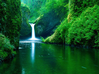 Nature